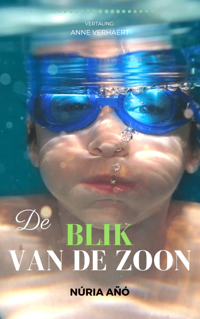 De blik van de zoon Núria Añó