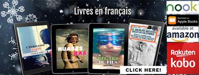 romans livres en français